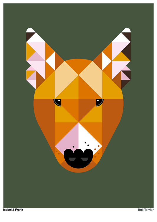 Bull Terrier – Red