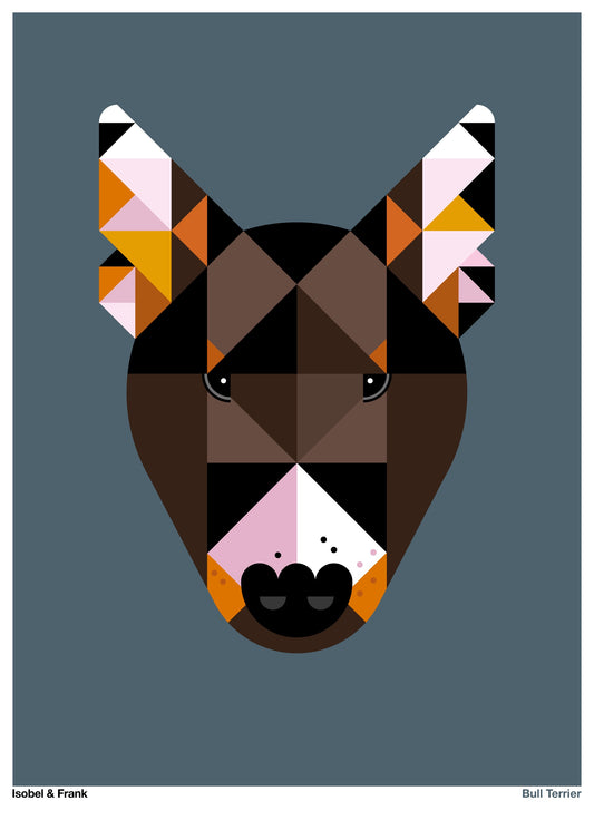Bull Terrier – Tricolour