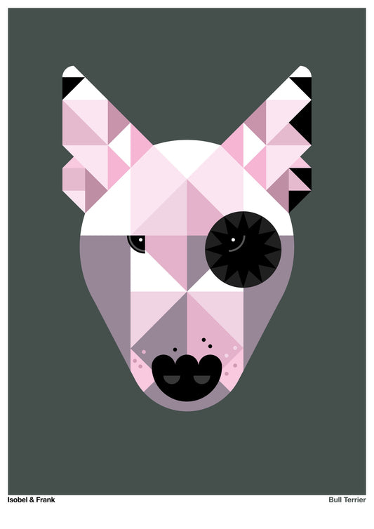 Bull Terrier – White