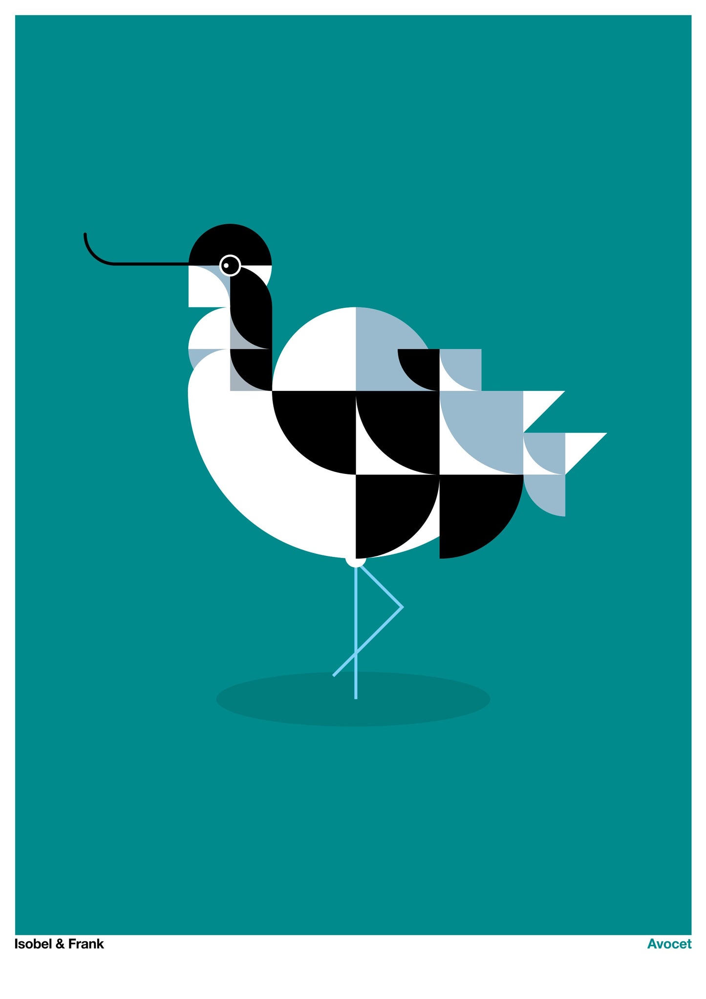 Avocet