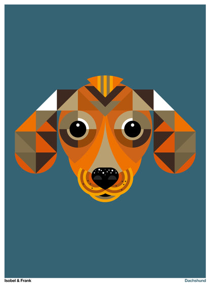 Dachshund