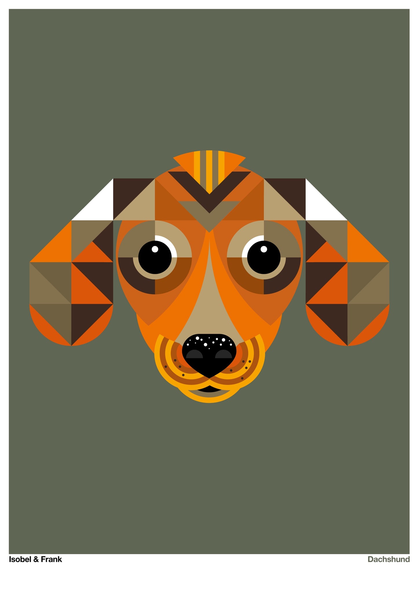 Dachshund