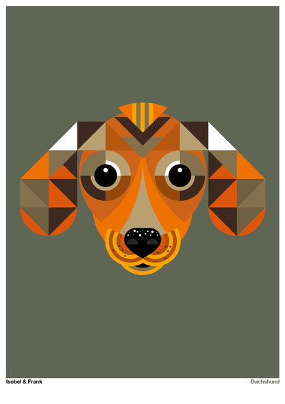 Dachshund