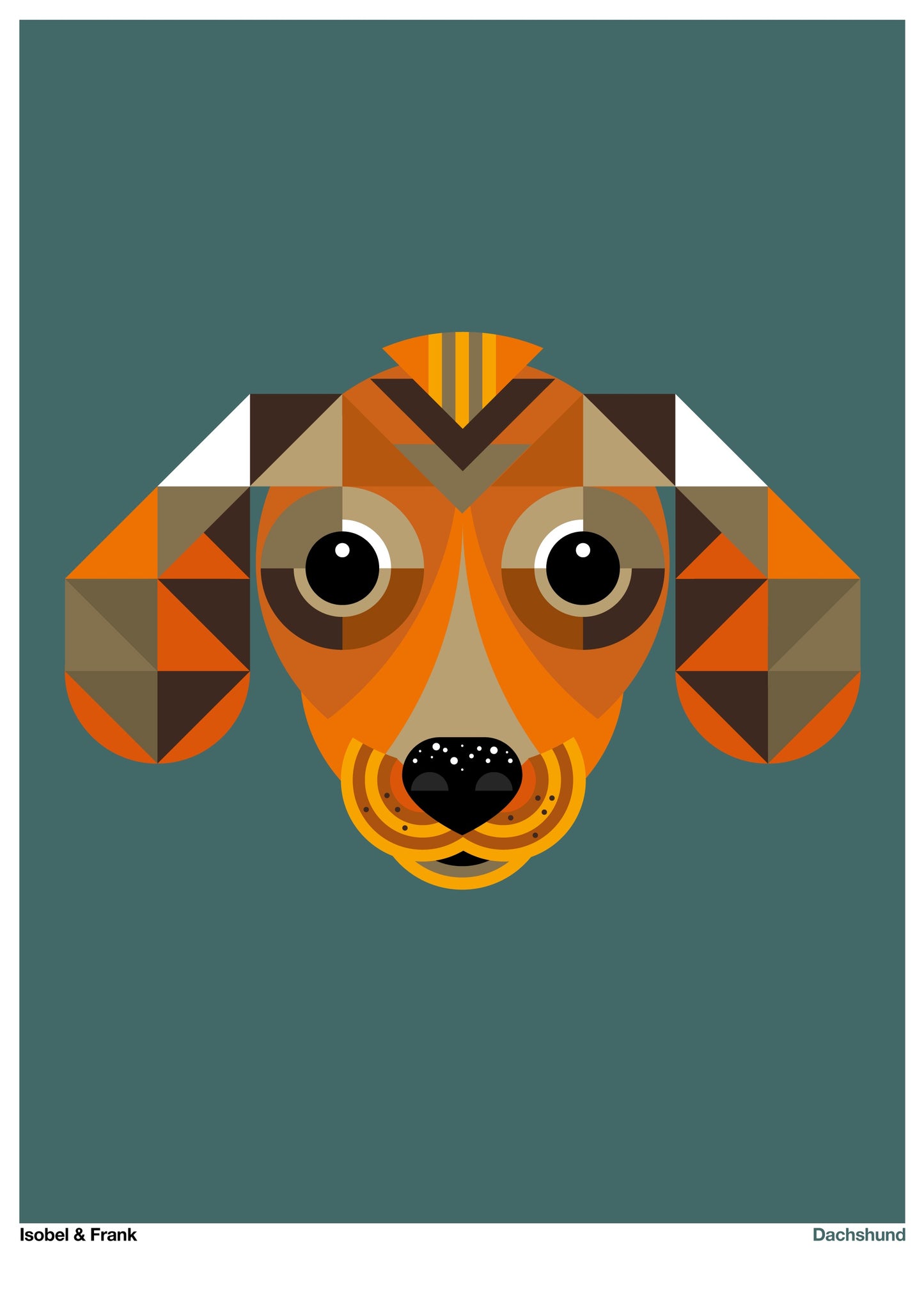 Dachshund