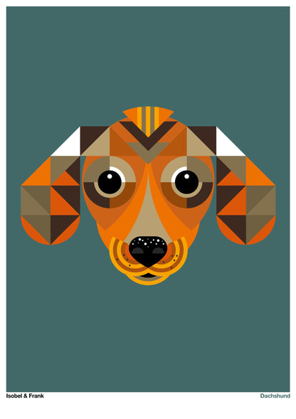 Dachshund