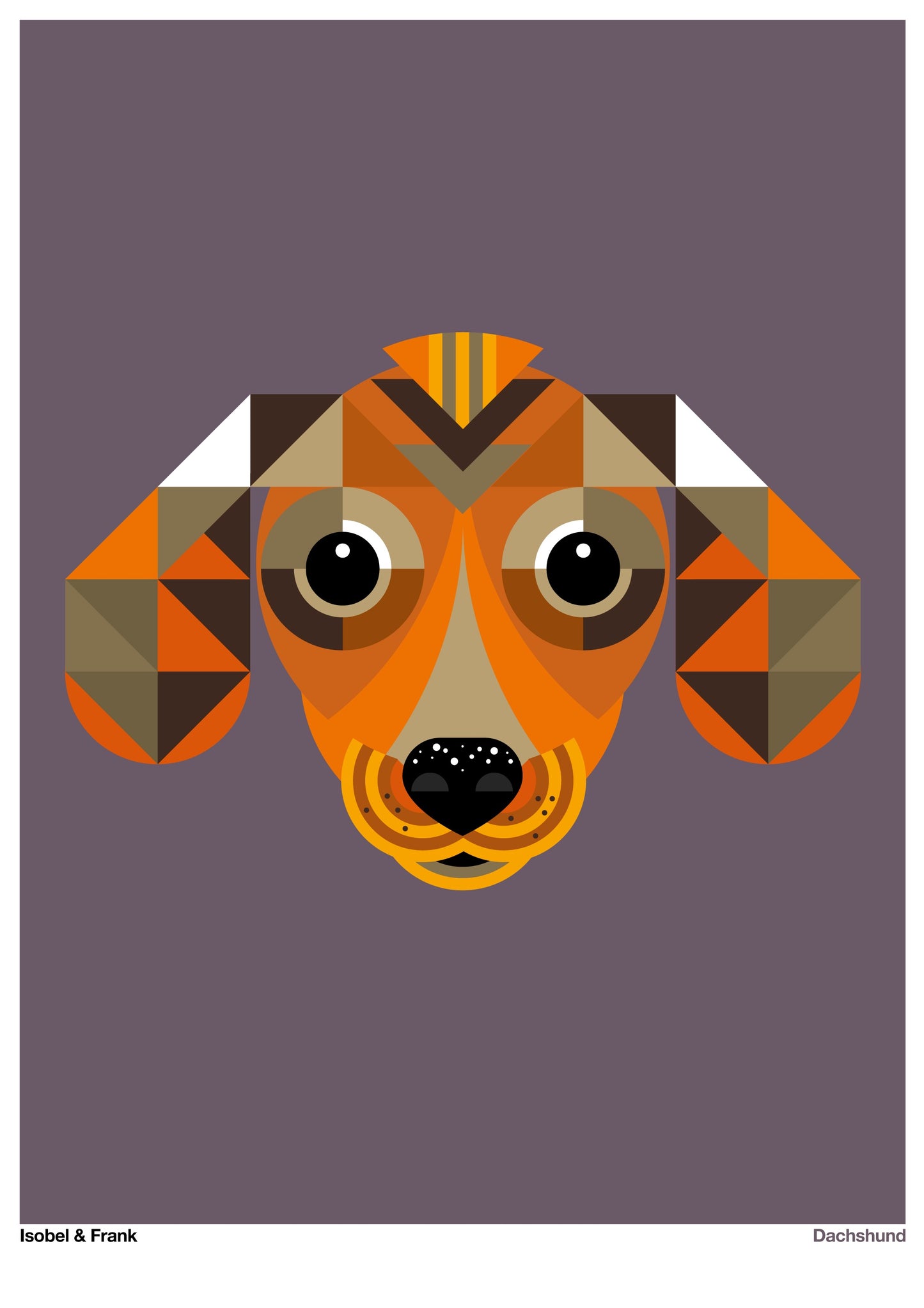 Dachshund