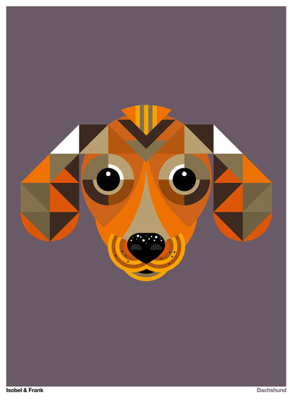 Dachshund
