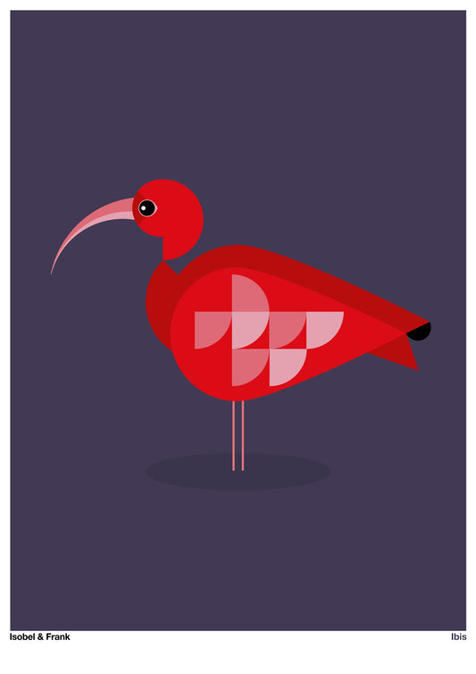 Ibis