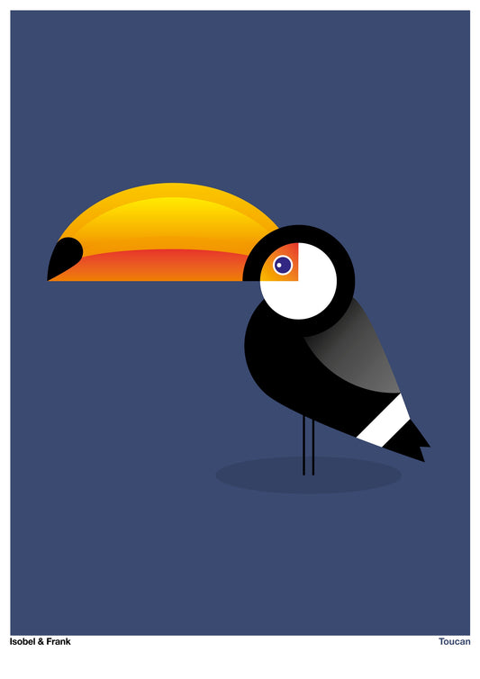 Toucan